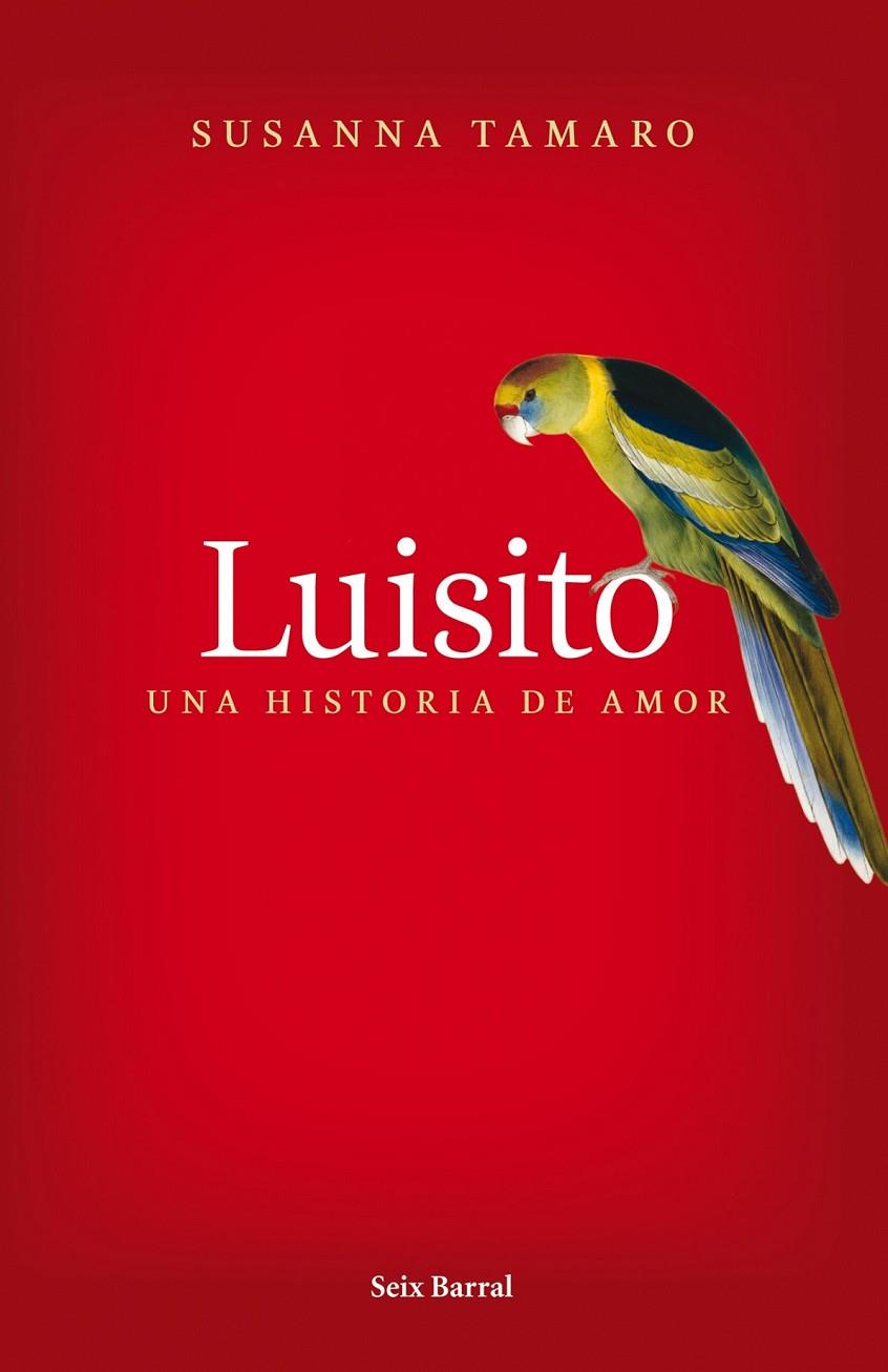 LUISITO. UNA HISTORIA DE AMOR | 9788432231841 | SUSANNA TAMARO | Llibreria Online de Banyoles | Comprar llibres en català i castellà online