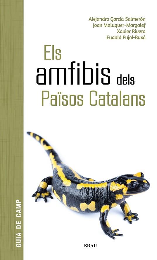 ELS AMFIBIS DELS PAÏSOS CATALANS | 9788418096341 | GARCÍA SALMERÓN, ALEJANDRO/MALUQUER MARGALEF, JOAN/RIVERA MULA, XAVIER/PUJOL BUXÓ, EUDALD | Llibreria Online de Banyoles | Comprar llibres en català i castellà online