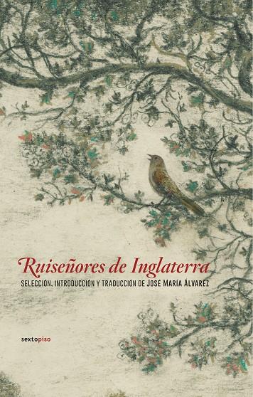 RUISEÑORES DE INGLATERRA | 9788416677498 | AAVV | Llibreria Online de Banyoles | Comprar llibres en català i castellà online
