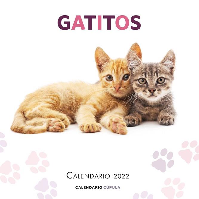 CALENDARIO GATITOS 2022 | 9788448028695 | AA. VV. | Llibreria Online de Banyoles | Comprar llibres en català i castellà online