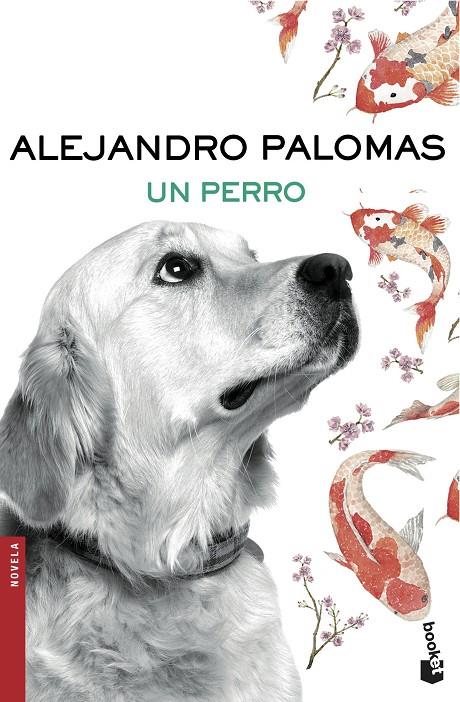 UN PERRO | 9788423351862 | PALOMAS ALEJANDRO  | Llibreria Online de Banyoles | Comprar llibres en català i castellà online