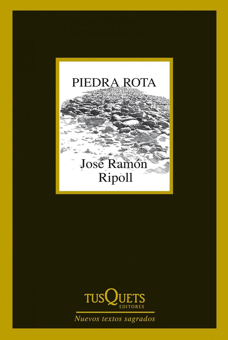 PIEDRA ROTA | 9788483834787 | JOSÉ RAMÓN RIPOLL | Llibreria L'Altell - Llibreria Online de Banyoles | Comprar llibres en català i castellà online - Llibreria de Girona
