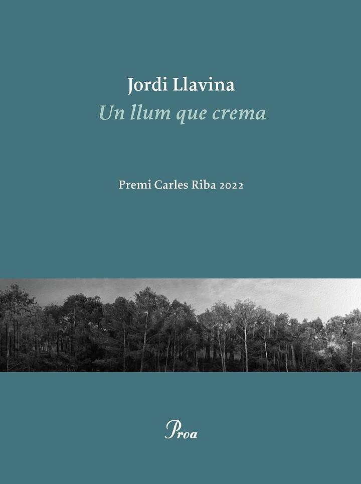 LLUM QUE CREMA, UN | 9788475889979 | LLAVINA, JORDI | Llibreria L'Altell - Llibreria Online de Banyoles | Comprar llibres en català i castellà online - Llibreria de Girona
