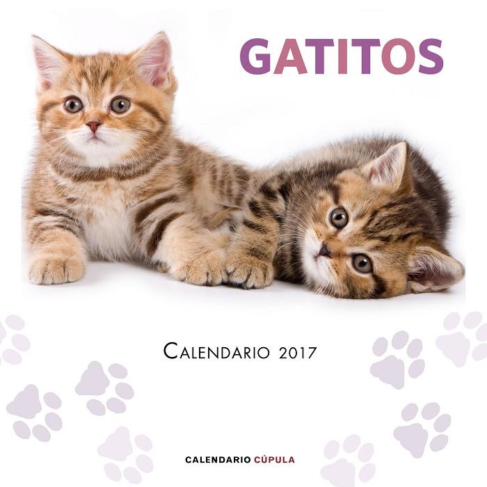 CALENDARIO GATITOS 2017 | 9788448022594 | AA. VV. | Llibreria Online de Banyoles | Comprar llibres en català i castellà online