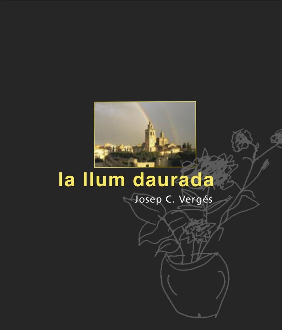 LA LLUM DAURADA | 9788492607990 | VERGÉS, JOSEP | Llibreria Online de Banyoles | Comprar llibres en català i castellà online