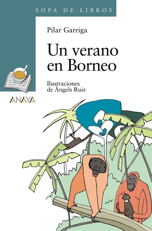 VERANO EN BORNEO, UN | 9788466784283 | GARRIGA, PILAR | Llibreria Online de Banyoles | Comprar llibres en català i castellà online