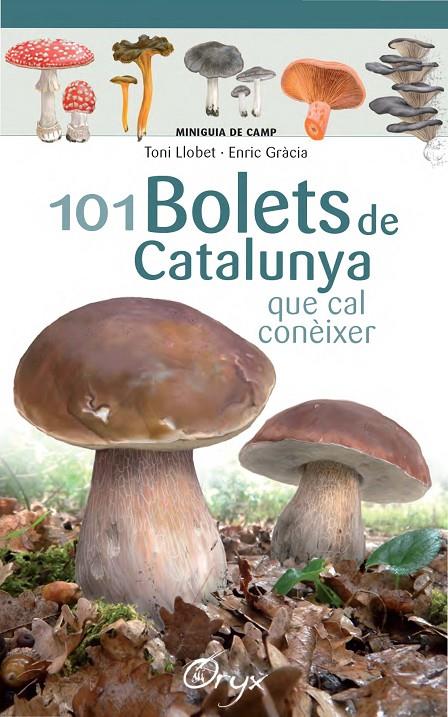 101 BOLETS DE CATALUNYA | 9788490347096 | LLOBET FRANÇOIS, TONI/GRÀCIA, ENRIC | Llibreria L'Altell - Llibreria Online de Banyoles | Comprar llibres en català i castellà online - Llibreria de Girona