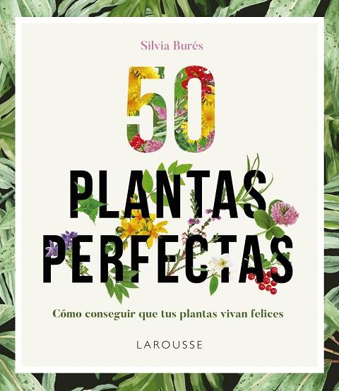 50 PLANTAS PERFECTAS | 9788416641840 | BURÉS, SILVIA | Llibreria Online de Banyoles | Comprar llibres en català i castellà online