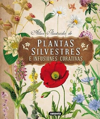 ATLAS ILUSTRADO DE PLANTAS SILVESTRES E INFUSIONES CURATIVAS | 9788467722864 | TOMANOVÁ, ELISKA | Llibreria Online de Banyoles | Comprar llibres en català i castellà online
