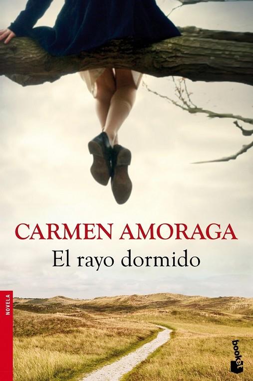 RAYO DORMIDO, EL | 9788423346714 | AMORAGA, CARMEN | Llibreria L'Altell - Llibreria Online de Banyoles | Comprar llibres en català i castellà online - Llibreria de Girona