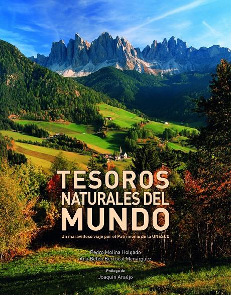 TESOROS NATURALES DEL MUNDO | 9788416177264 | MOLINA HOLGADO, PEDRO/BERROCAL MENÁRGUEZ, ANA BELÉN | Llibreria L'Altell - Llibreria Online de Banyoles | Comprar llibres en català i castellà online - Llibreria de Girona