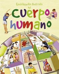 ENCICLOPEDIA DEL CUERPO HUMANO | 9788499133201 | AA.VV | Llibreria Online de Banyoles | Comprar llibres en català i castellà online