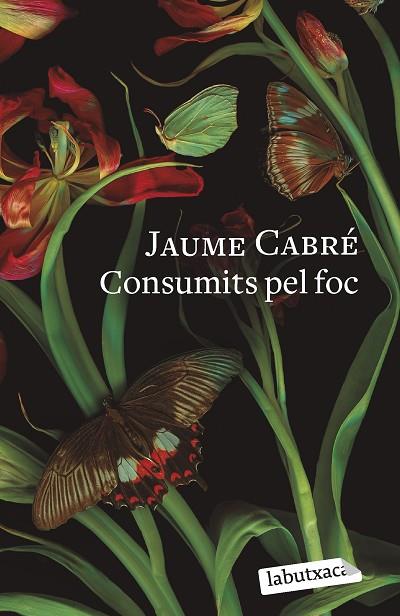 CONSUMITS PEL FOC | 9788419107206 | CABRÉ, JAUME | Llibreria Online de Banyoles | Comprar llibres en català i castellà online