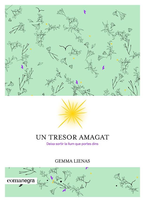 TRESOR AMAGAT, UN | 9788416605347 | LIENAS, GEMMA | Llibreria Online de Banyoles | Comprar llibres en català i castellà online