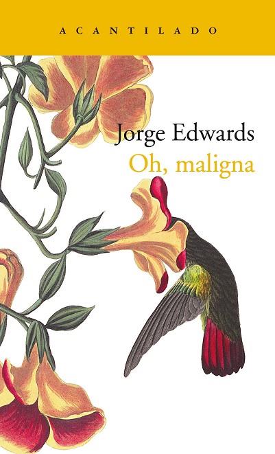 OH, MALIGNA | 9788417902070 | EDWARDS VALDÉS, JORGE | Llibreria Online de Banyoles | Comprar llibres en català i castellà online