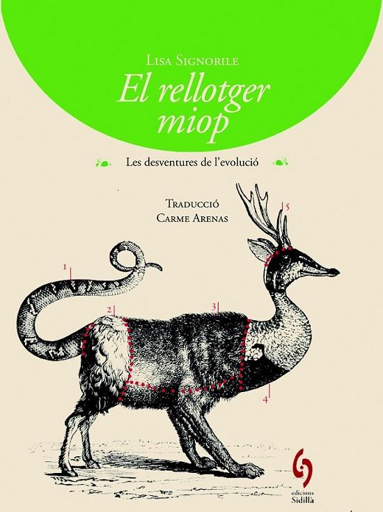 RELLOTGER MIOP, EL | 9788494256424 | SIGNORILE, LISA | Llibreria Online de Banyoles | Comprar llibres en català i castellà online