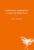 CABASSA EMERGENT (LLUM DE BENGALA) | 9788494433023 | YMBERNON, DAVID | Llibreria Online de Banyoles | Comprar llibres en català i castellà online