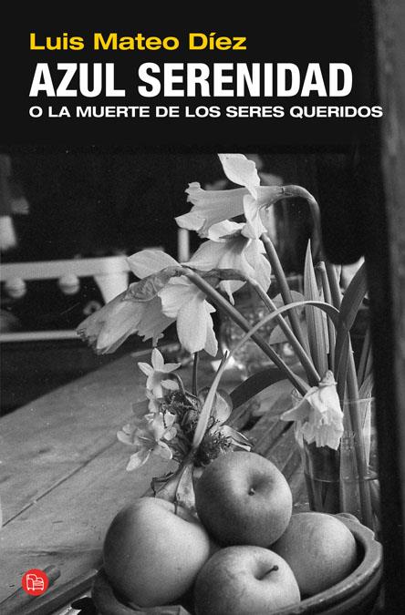 AZUL SERENIDAD O LA MUERTE DE LOS SERES QUERIDOS | 9788466318785 | DÍEZ, LUIS MATEO | Llibreria Online de Banyoles | Comprar llibres en català i castellà online