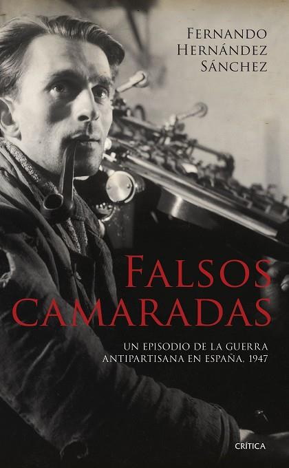 FALSOS CAMARADAS | 9788491995739 | HERNÁNDEZ SÁNCHEZ, FERNANDO | Llibreria Online de Banyoles | Comprar llibres en català i castellà online