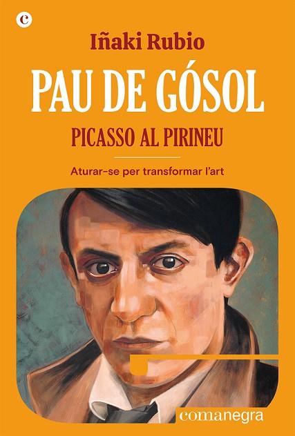 PAU DE GÓSOL. PICASSO AL PIRINEU | 9788419590404 | RUBIO, IÑAKI | Llibreria Online de Banyoles | Comprar llibres en català i castellà online