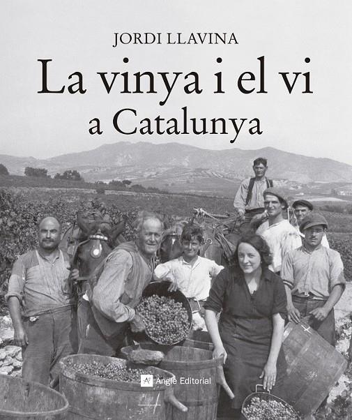 VINYA I EL VI A CATALUNYA, LA | 9788416139187 | LLAVINA, JORDI | Llibreria Online de Banyoles | Comprar llibres en català i castellà online