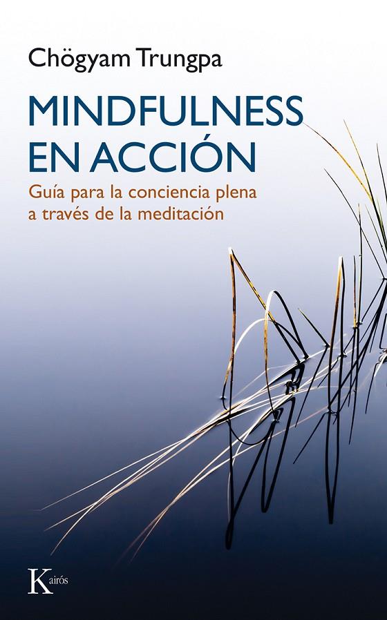 MINDFULNESS EN ACCIÓN | 9788499884899 | TRUNGPA, CHÖGYAM | Llibreria Online de Banyoles | Comprar llibres en català i castellà online