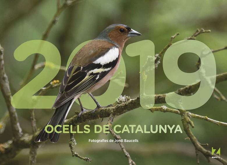 CALEN. 2019 OCELLS DE CATALUNYA | 9788409035465 | MAPZINE | Llibreria Online de Banyoles | Comprar llibres en català i castellà online
