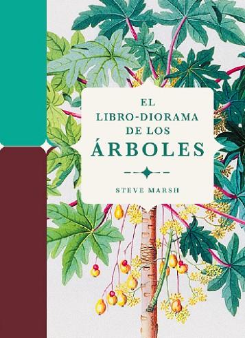 LIBRO-DIORAMA DE LOS ÁRBOLES, EL | 9788412386196 | MARSH, STEVE | Llibreria Online de Banyoles | Comprar llibres en català i castellà online