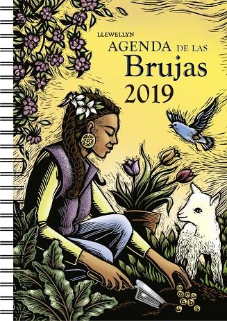 AGENDA 2019 DE LAS BRUJAS | 9788491113652 | LLEWELLYN | Llibreria Online de Banyoles | Comprar llibres en català i castellà online