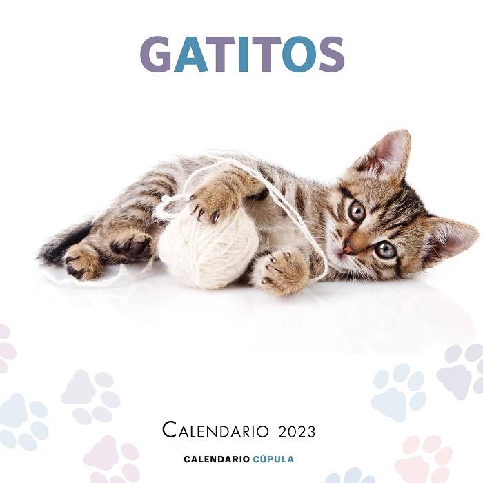 CALENDARIO GATITOS 2023 | 9788448029784 | AA. VV. | Llibreria Online de Banyoles | Comprar llibres en català i castellà online