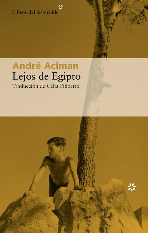 LEJOS DE EGIPTO | 9788417977757 | ACIMAN, ANDRÉ | Llibreria Online de Banyoles | Comprar llibres en català i castellà online