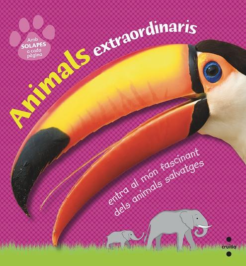C-ANIMALS EXTRAORDINARIS | 9788466145138 | DORLING KINDERSLEY , EQUIPO EDITORIAL | Llibreria Online de Banyoles | Comprar llibres en català i castellà online