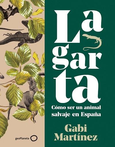LAGARTA | 9788408252115 | MARTÍNEZ, GABI | Llibreria Online de Banyoles | Comprar llibres en català i castellà online