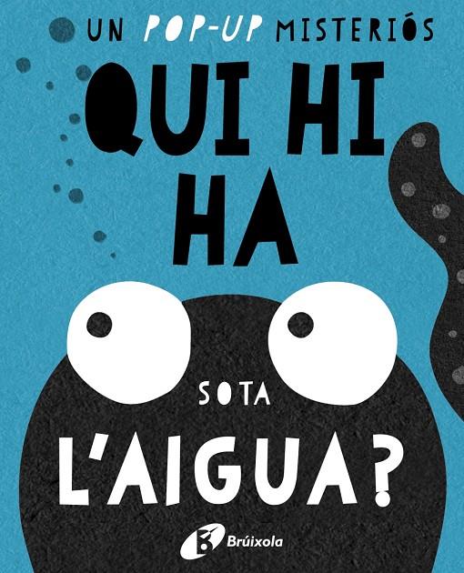 QUI HI HA SOTA L ' AIGUA? | 9788499067667 | Llibreria Online de Banyoles | Comprar llibres en català i castellà online