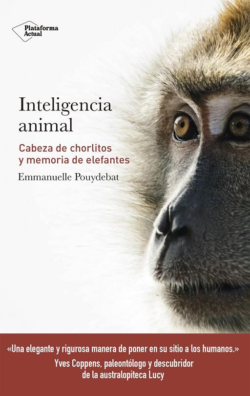INTELIGENCIA ANIMAL | 9788417114947 | POUYDEBAT, EMMANUELLE | Llibreria Online de Banyoles | Comprar llibres en català i castellà online