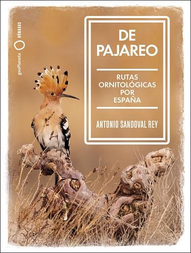 DE PAJAREO | 9788408251514 | SANDOVAL, ANTONIO | Llibreria Online de Banyoles | Comprar llibres en català i castellà online