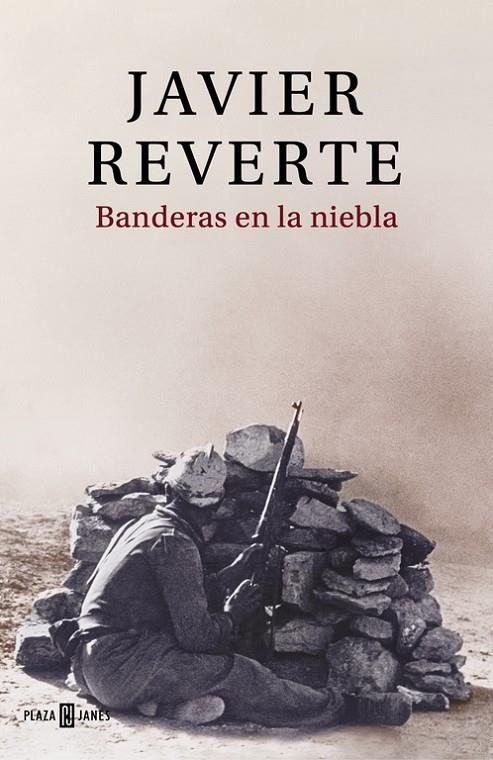 BANDERAS EN LA NIEBLA | 9788401019432 | REVERTE, JAVIER | Llibreria Online de Banyoles | Comprar llibres en català i castellà online