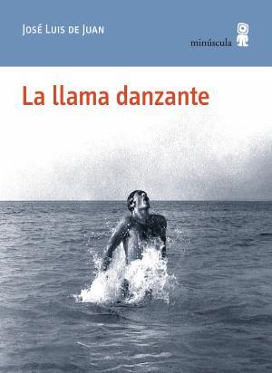 LA LLAMA DANZANTE | 9788495587992 | DE JUAN CLAR, JOSÉ LUÍS | Llibreria Online de Banyoles | Comprar llibres en català i castellà online
