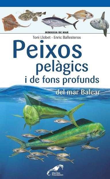 PEIXOS PELÀGICS I DE FONS PROFUNDS DEL MAR BALEAR | 9788490349397 | LLOBET FRANÇOIS, TONI/BALLESTEROS SAGARRA, ENRIC | Llibreria Online de Banyoles | Comprar llibres en català i castellà online