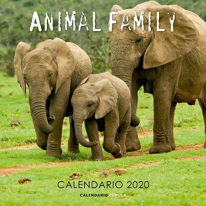 CALENDARIO ANIMAL FAMILY 2020 | 9788448026189 | AA. VV. | Llibreria Online de Banyoles | Comprar llibres en català i castellà online