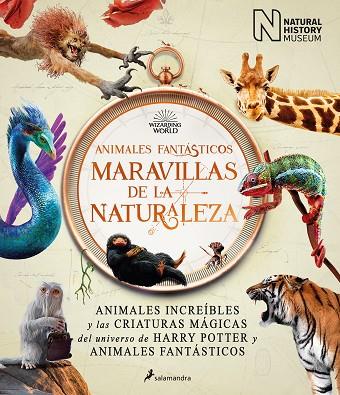 ANIMALES FANTÁSTICOS: MARAVILLAS DE LA NATURALEZA | 9788418637056 | THE NATIONAL HISTORY MUSEUM, | Llibreria Online de Banyoles | Comprar llibres en català i castellà online