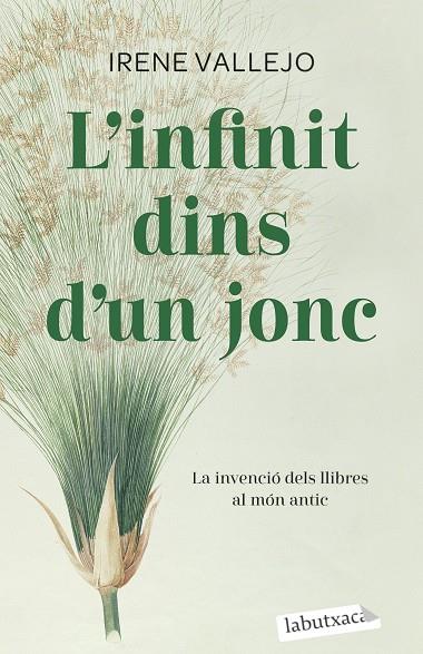 INFINIT DINS D'UN JONC, L' | 9788419107121 | VALLEJO, IRENE | Llibreria Online de Banyoles | Comprar llibres en català i castellà online