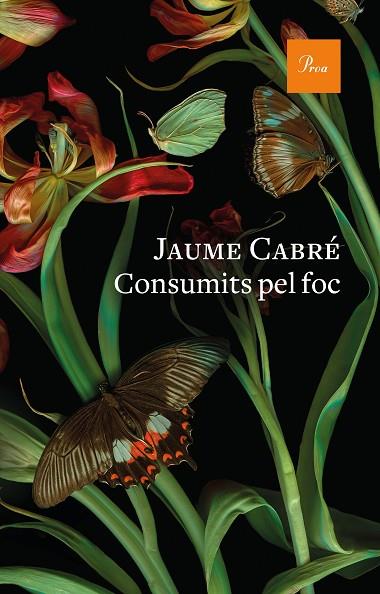 CONSUMITS PEL FOC | 9788475888835 | CABRÉ, JAUME | Llibreria Online de Banyoles | Comprar llibres en català i castellà online