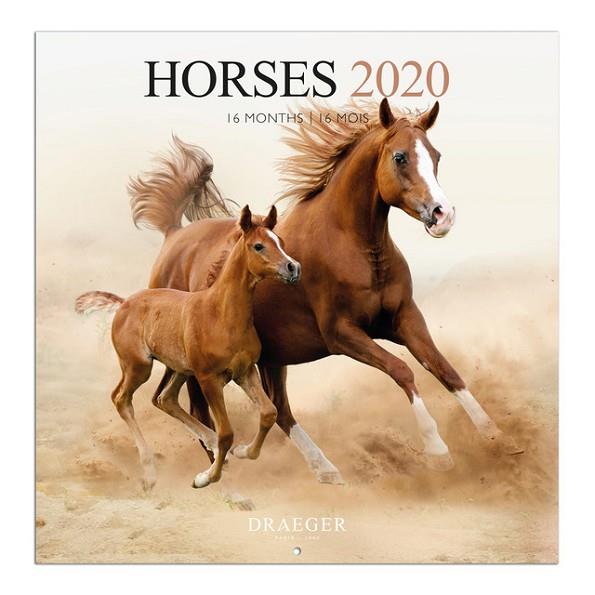 CALENDARI 16 MESOS GRAN 28X29 HORSES 2020 | 3045677979287 | DRAEGER | Llibreria Online de Banyoles | Comprar llibres en català i castellà online