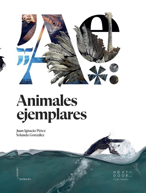 ANIMALES EJEMPLARES | 9788412159899 | PÉREZ IGLESIAS, JUAN IGNACIO | Llibreria Online de Banyoles | Comprar llibres en català i castellà online