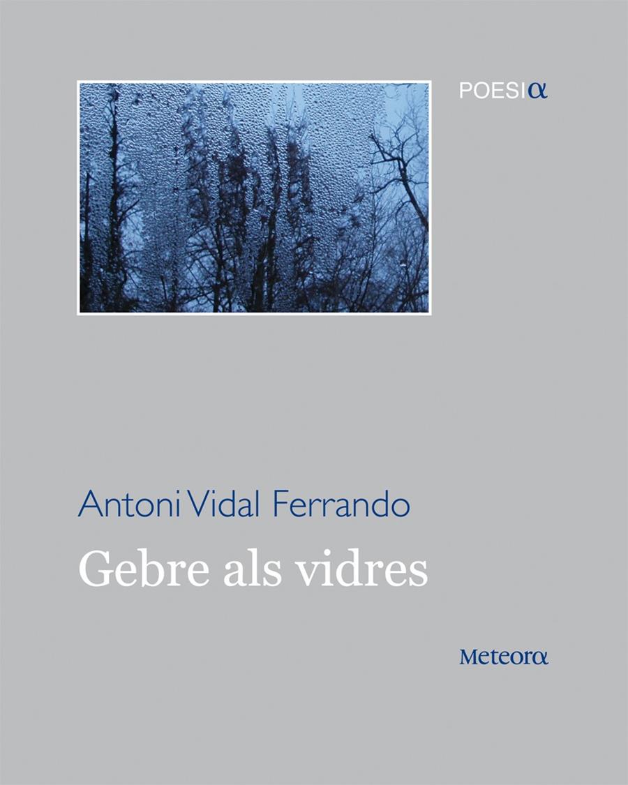 GEBRE ALS VIDRES | 9788492874569 | VIDAL FERRANDO, ANTONI | Llibreria Online de Banyoles | Comprar llibres en català i castellà online