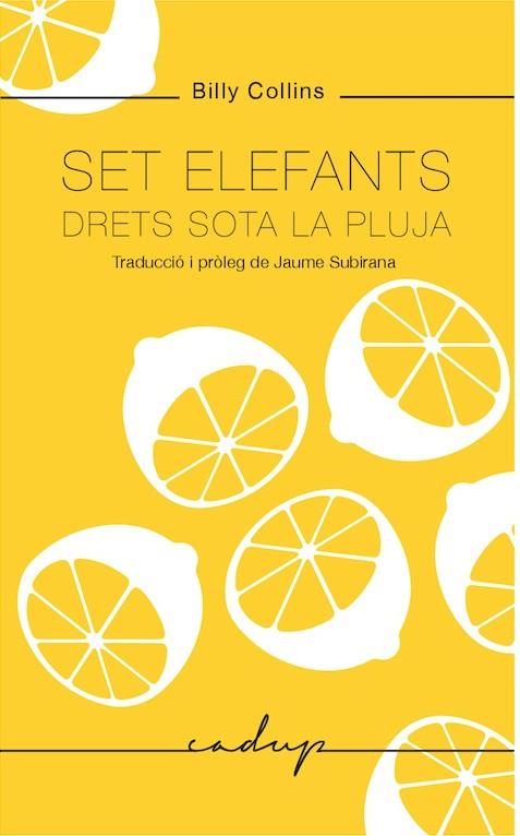 SET ELEFANTS DRETS SOTA LA PLUJA | 9788494943218 | COLLINS, BILLY | Llibreria Online de Banyoles | Comprar llibres en català i castellà online