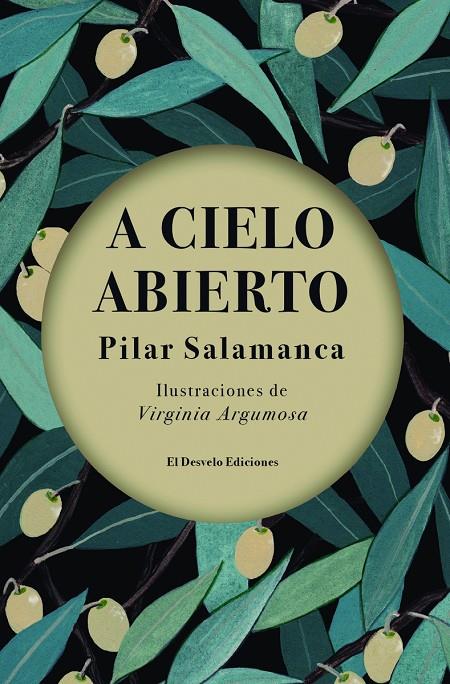 A CIELO ABIERTO | 9788494870750 | SALAMANCA SEGOVIANO, PILAR | Llibreria Online de Banyoles | Comprar llibres en català i castellà online