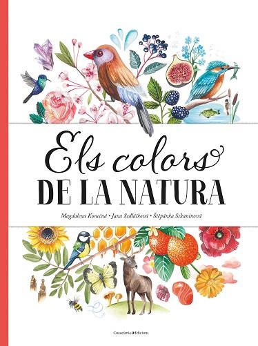 COLORS DE LA NATURA, ELS | 9788490349243 | SEDLÁCKOVÁ, JANA/SEKANINOVÁ, STEPÁNKA | Llibreria Online de Banyoles | Comprar llibres en català i castellà online