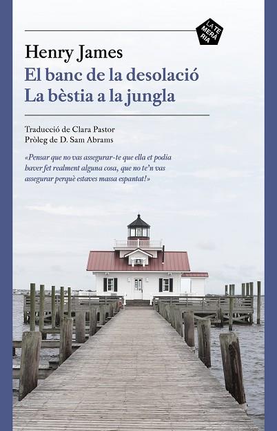 BANC DE LA DESOLACIO,EL - CAT | 9788412356410 | JAMES,HENRY | Llibreria Online de Banyoles | Comprar llibres en català i castellà online